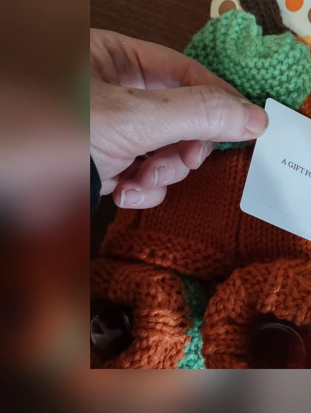 Little Me cozy knit